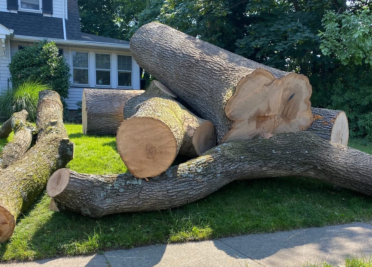 How Glen Rock’s Open Space Fund Is Spending an Extra $35K This Fall