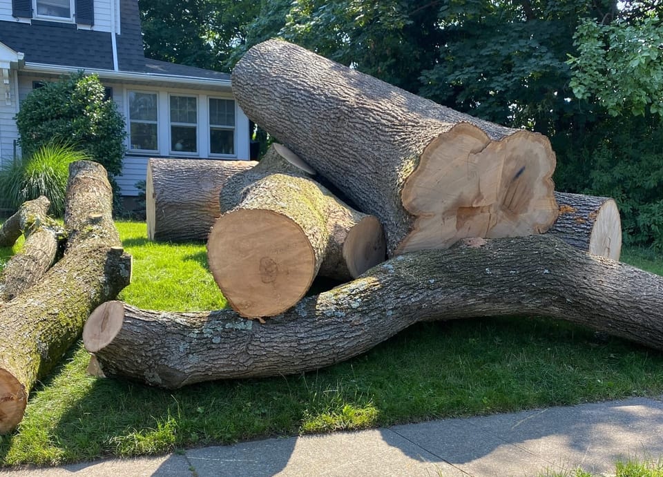 How Glen Rock’s Open Space Fund Is Spending an Extra $35K This Fall
